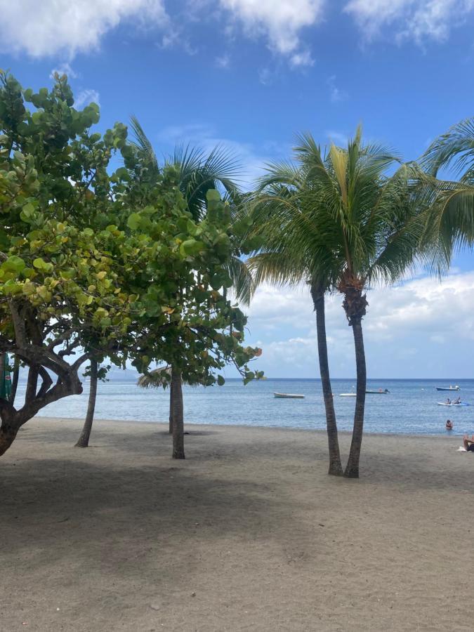 Ti Repos Martinique - Maison Avec Spa Schoelcher Exteriör bild
